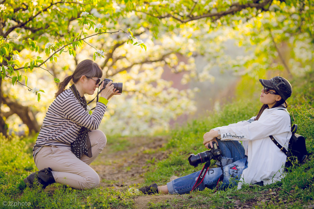 龙photo  《135L 练习贴 》