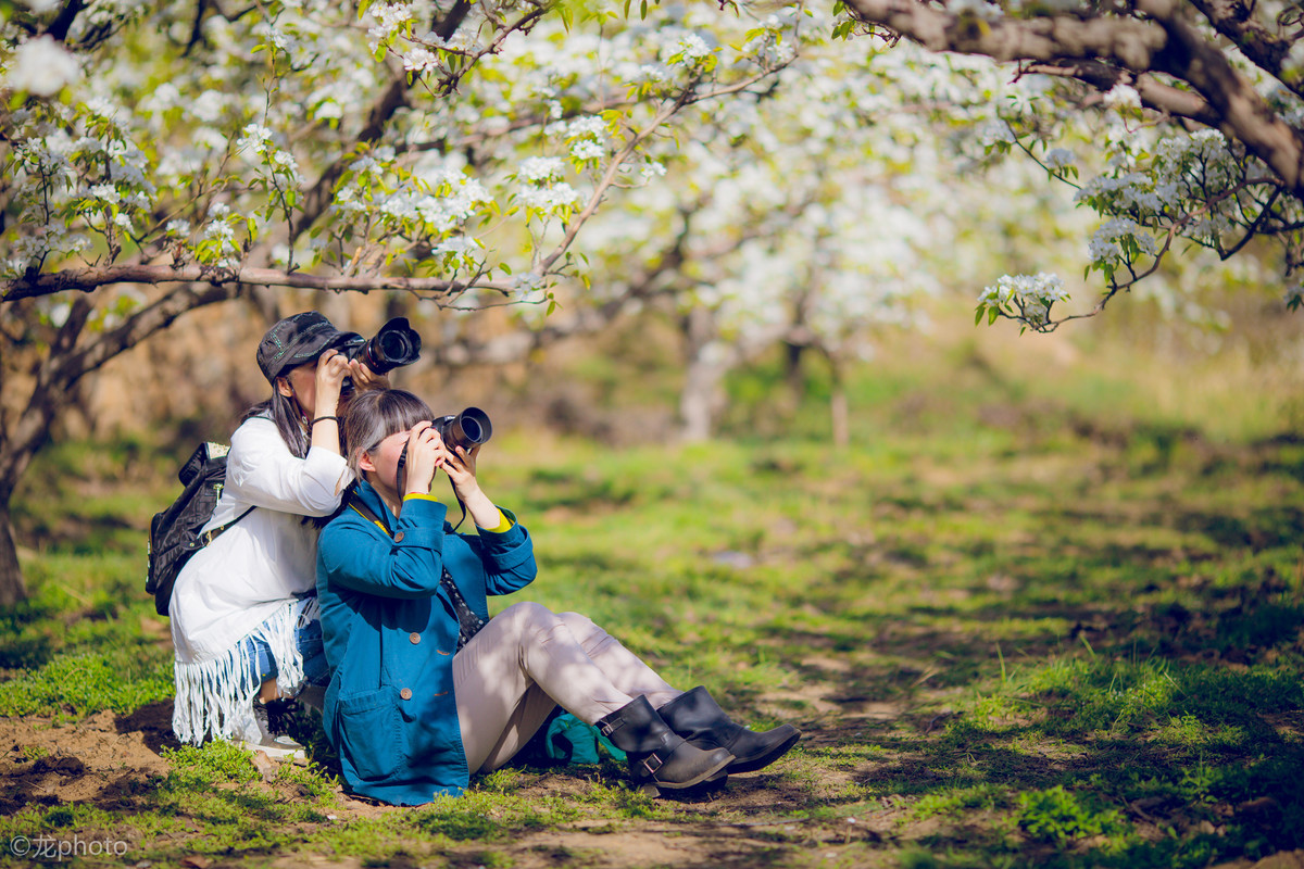 龙photo  《135L 练习贴 》