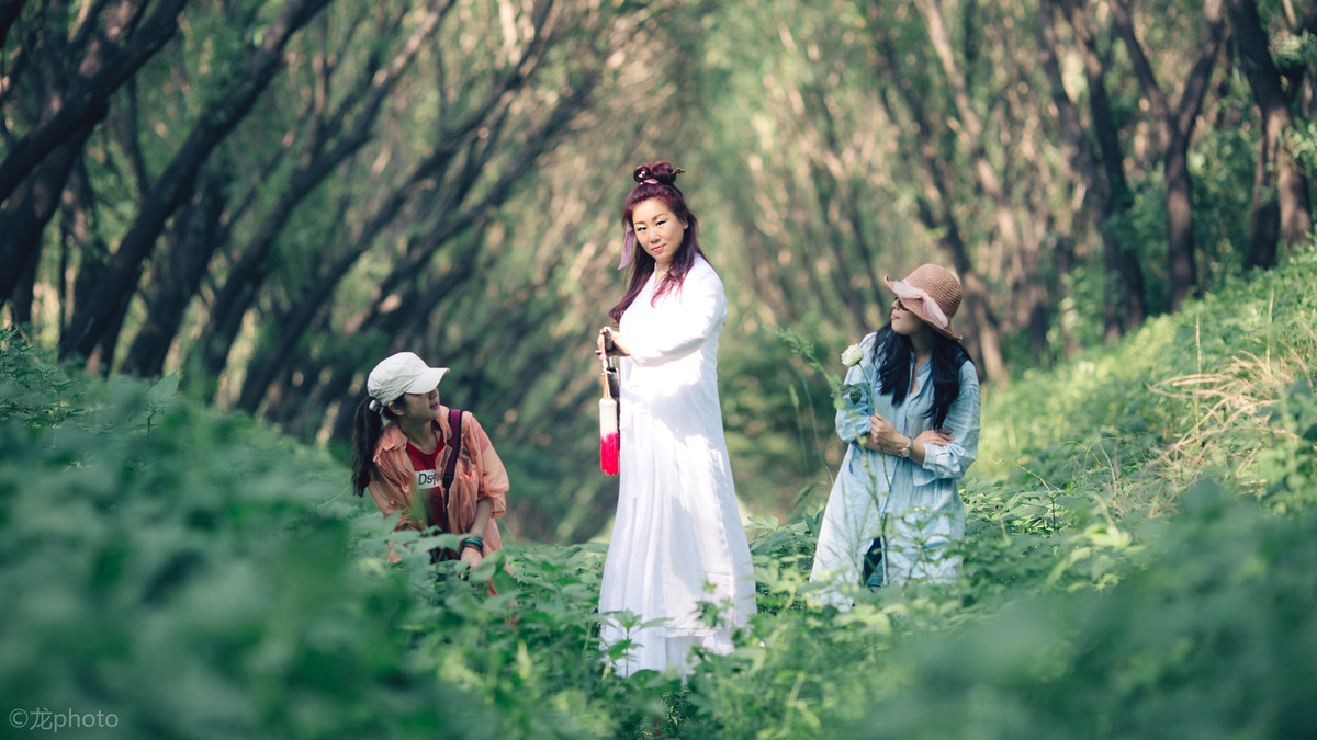 龙photo  《135L 练习贴 》