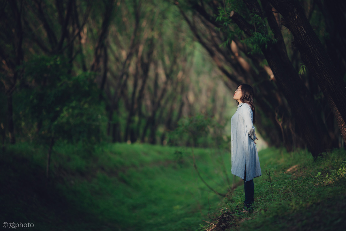 龙photo  《135L 练习贴 》