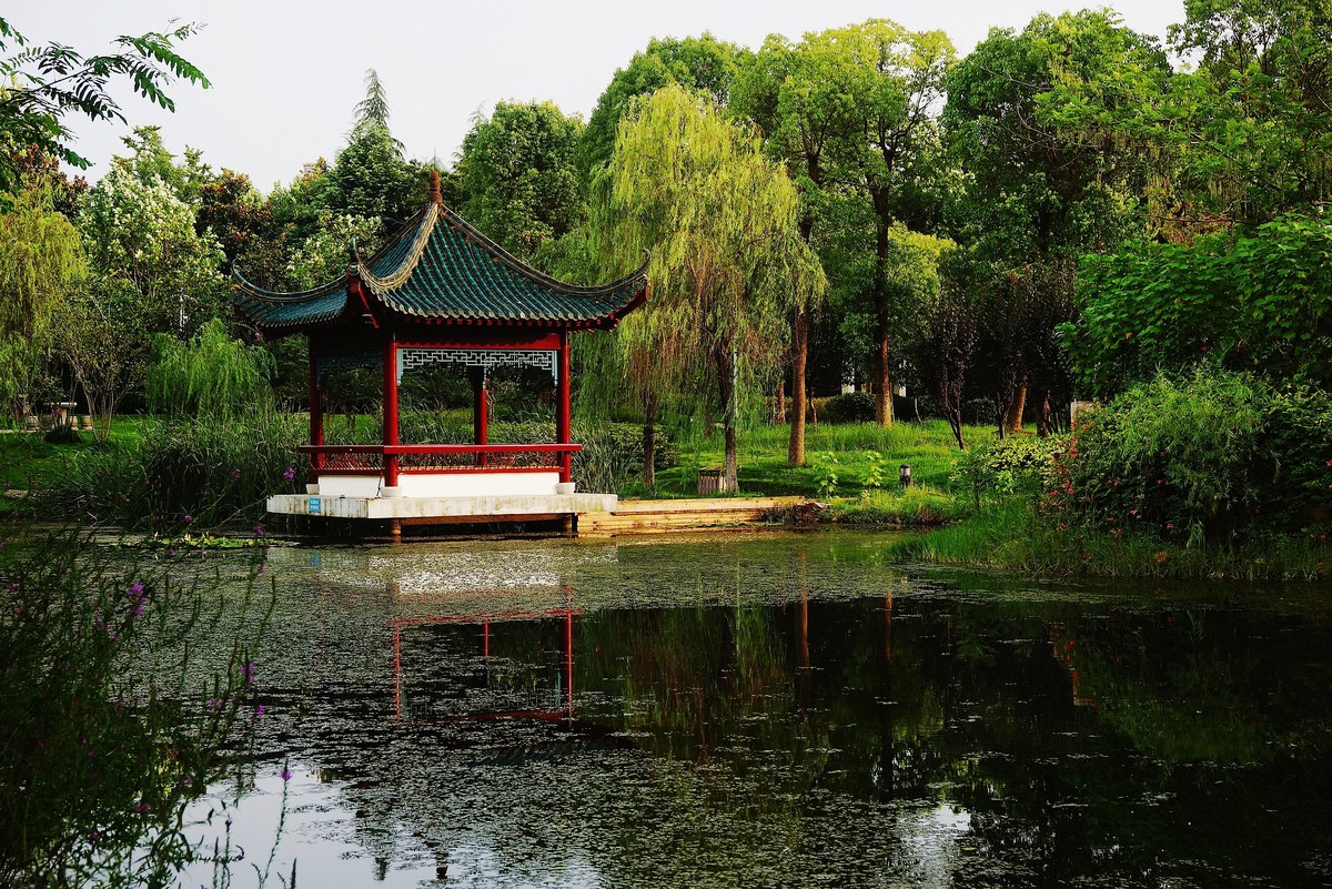 夏日印象风光秀美的的汉阳琴台公园