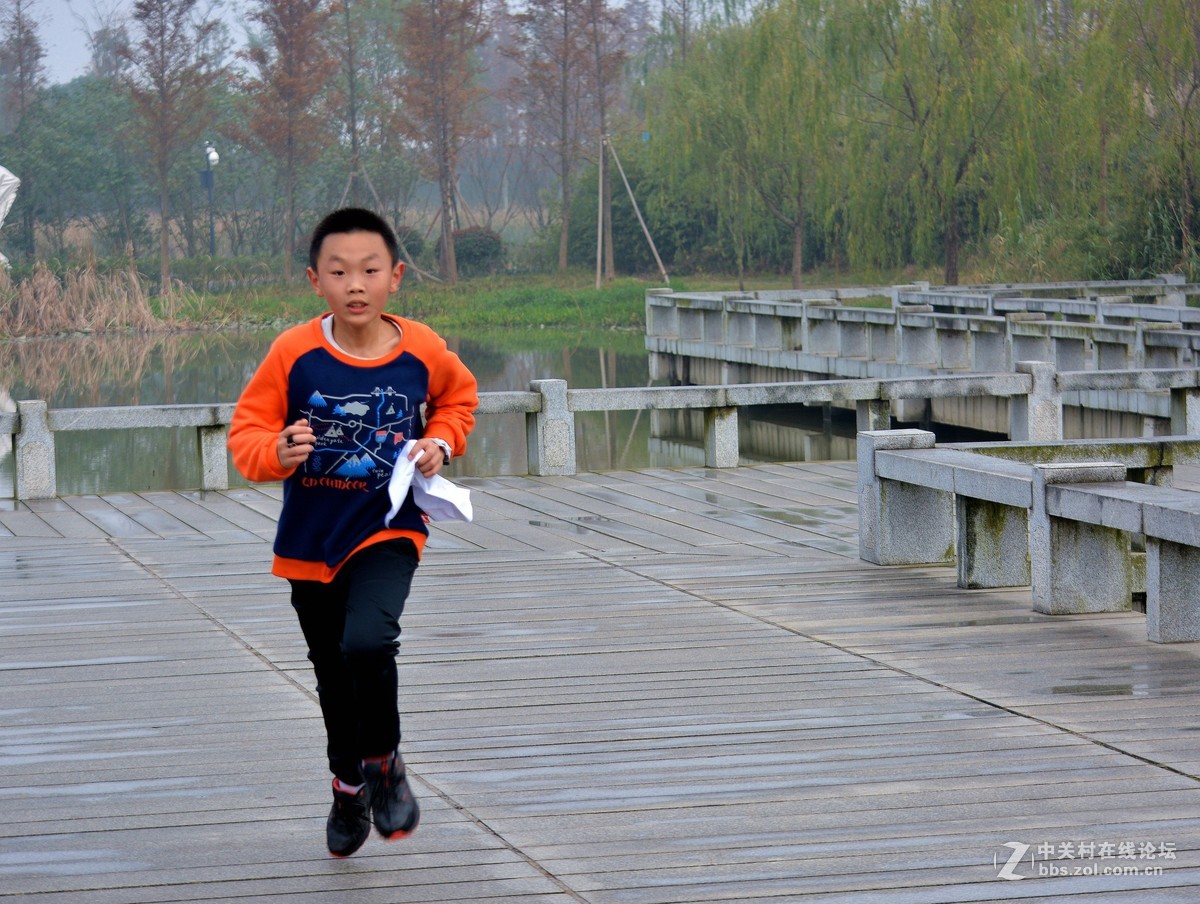 新手报到，湿地公园（二）小学生寻路竞赛活动