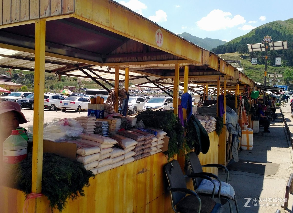 2017夏 长沙到喀什（172）拉卜楞寺感怀