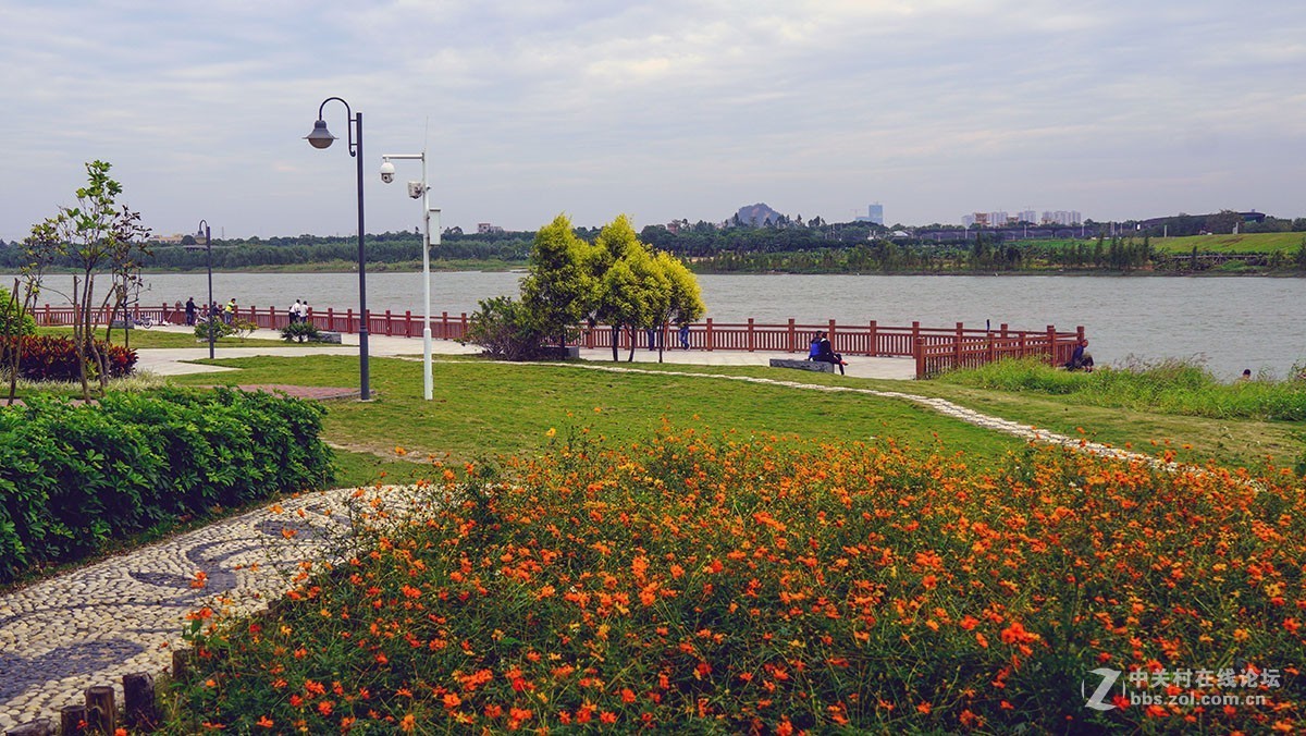 半月岛湿地公园