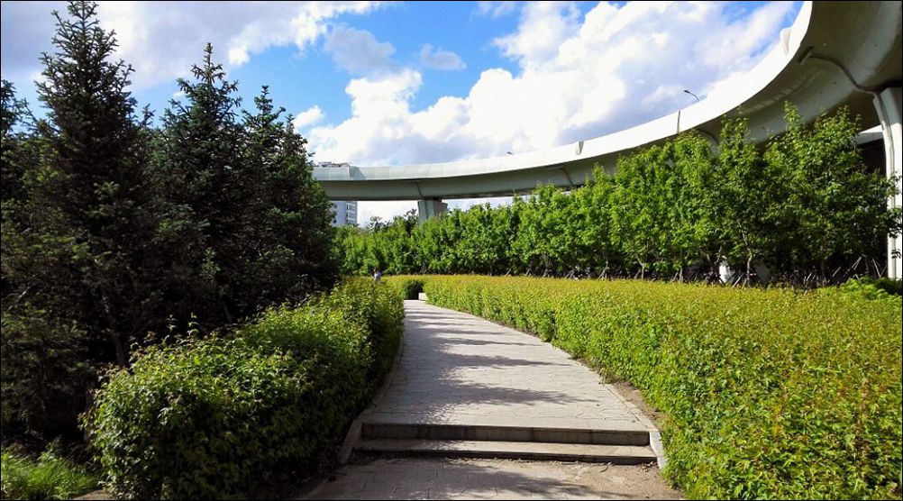 休闲随拍（296）