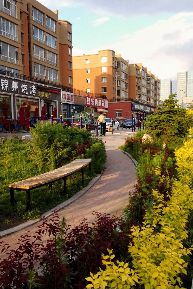 休闲随拍（296）