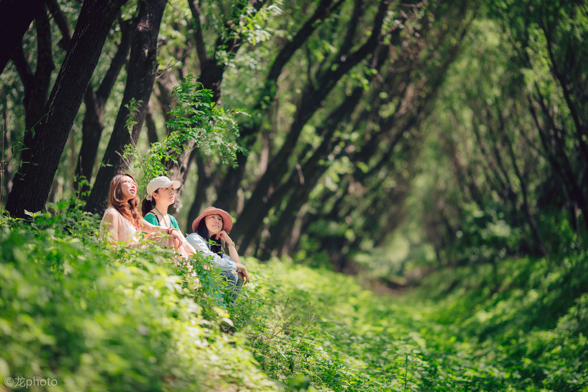 龙photo  《135L 练习贴 》