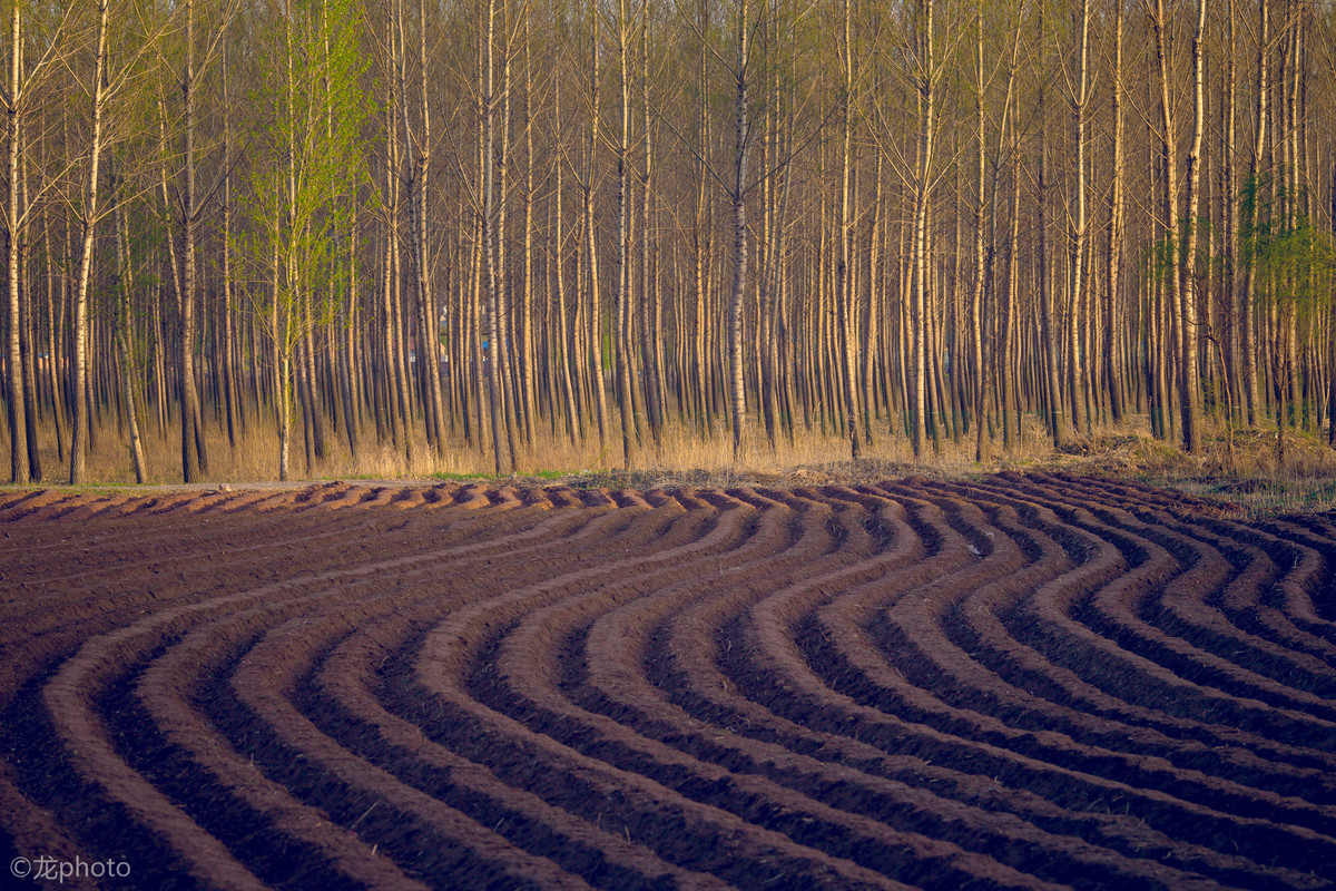 龙photo  《135L 练习贴 》
