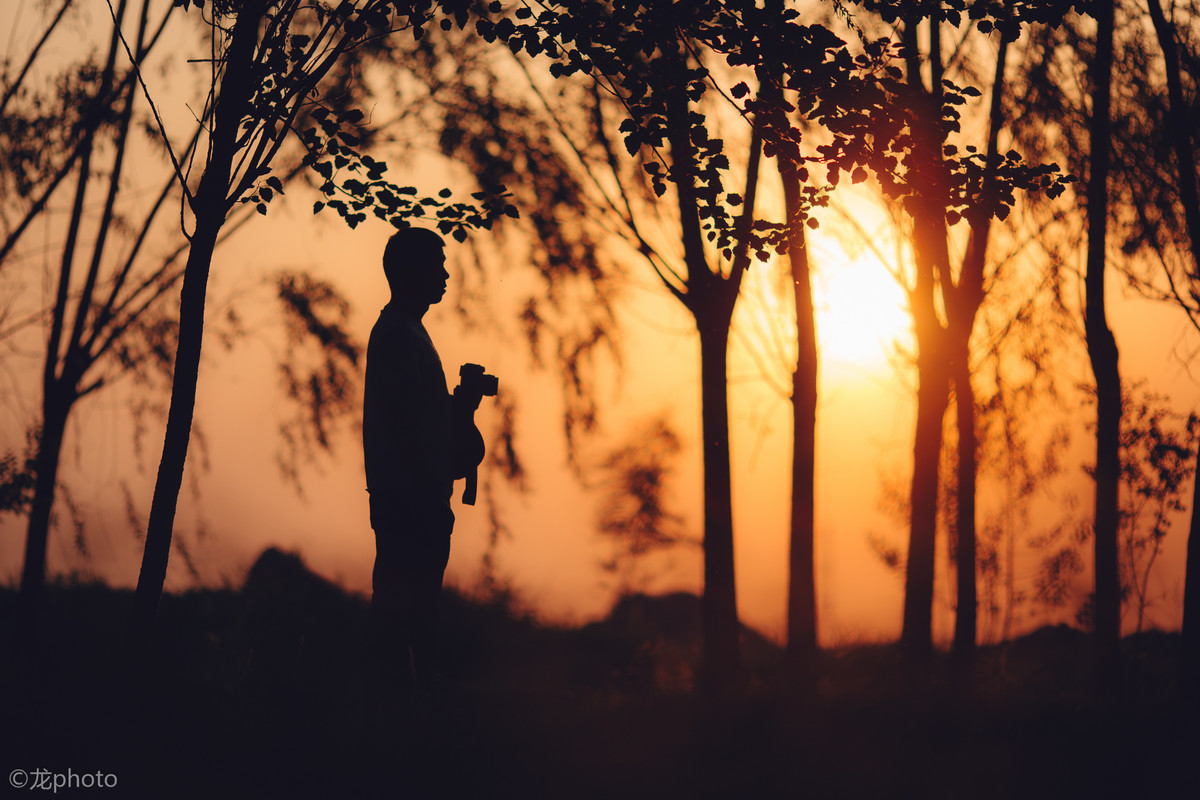 龙photo  《135L 练习贴 》