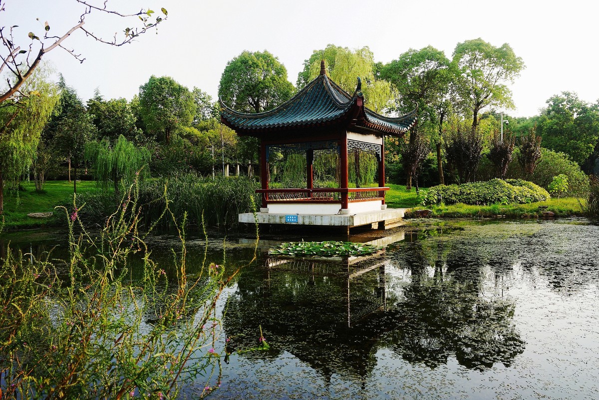 夏日印象风光秀美的的汉阳琴台公园