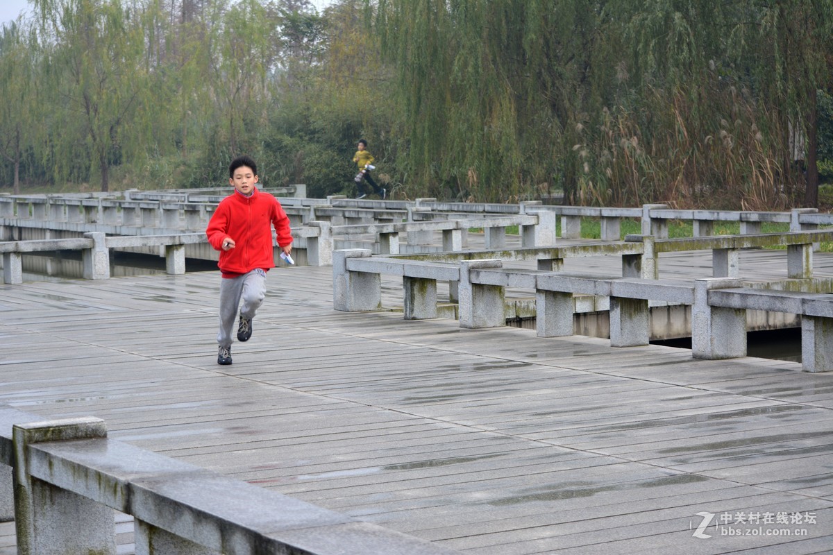 新手报到，湿地公园（二）小学生寻路竞赛活动