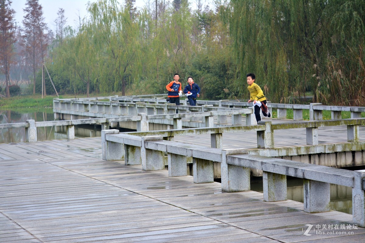 新手报到，湿地公园（二）小学生寻路竞赛活动