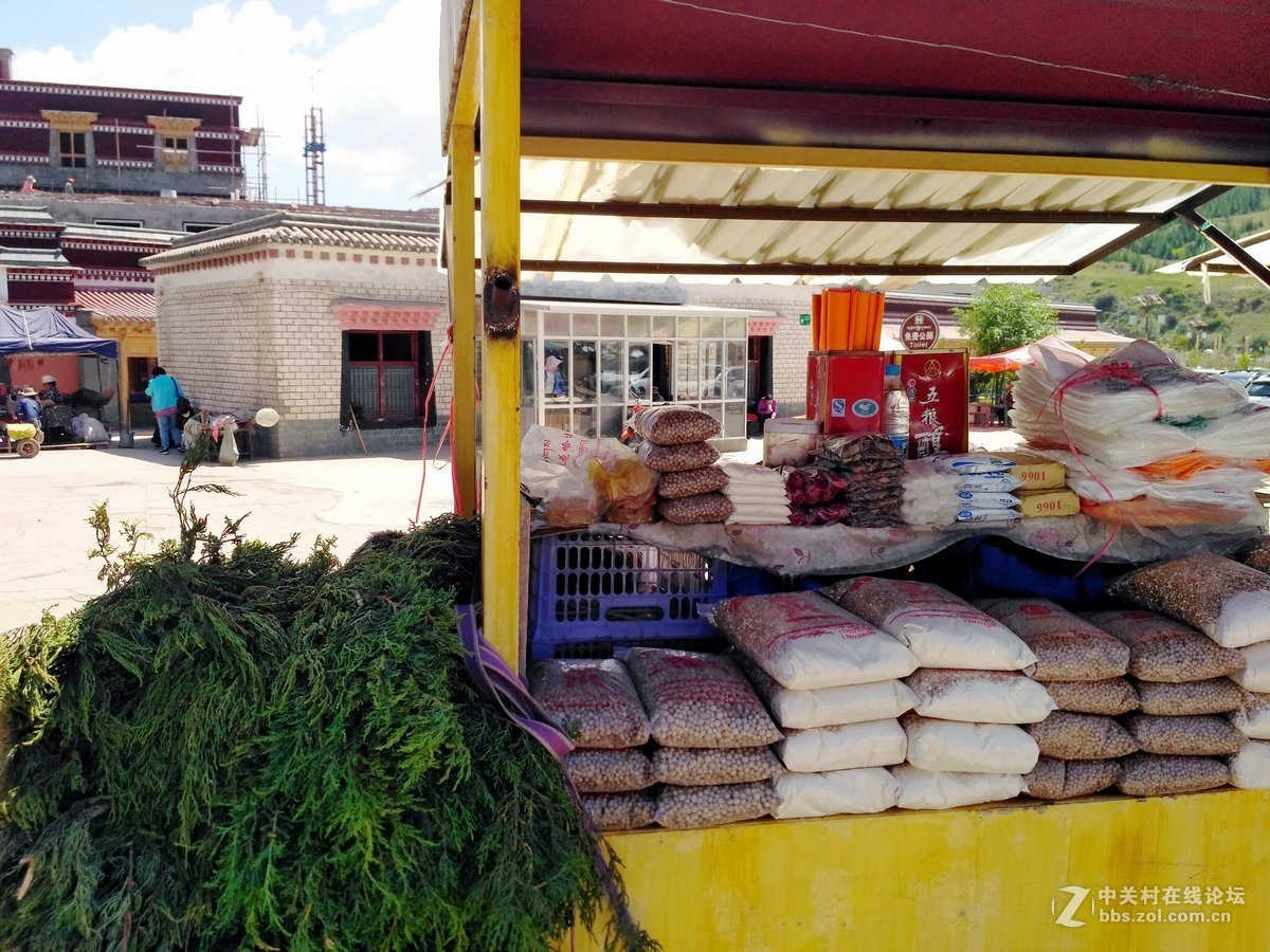 2017夏 长沙到喀什（172）拉卜楞寺感怀