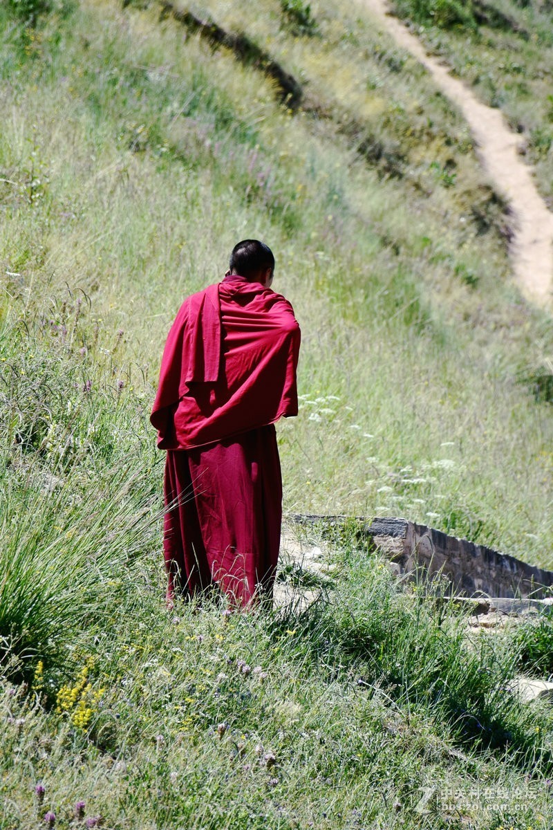 2017夏 长沙到喀什（172）拉卜楞寺感怀