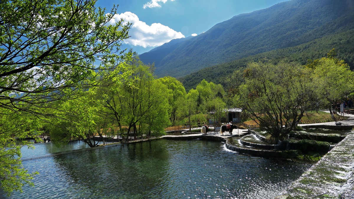 大美云南丽江玉水寨