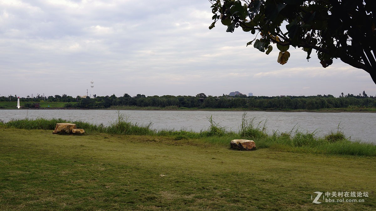 半月岛湿地公园