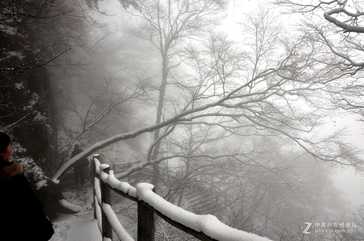 老君山   雾霾笼罩的雪淞景象