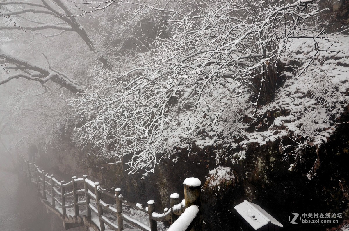 老君山   雾霾笼罩的雪淞景象