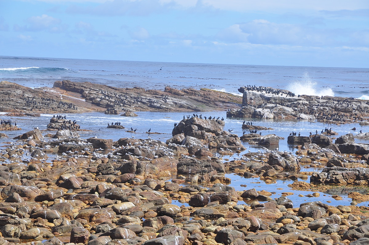 南非之旅（一）好望角