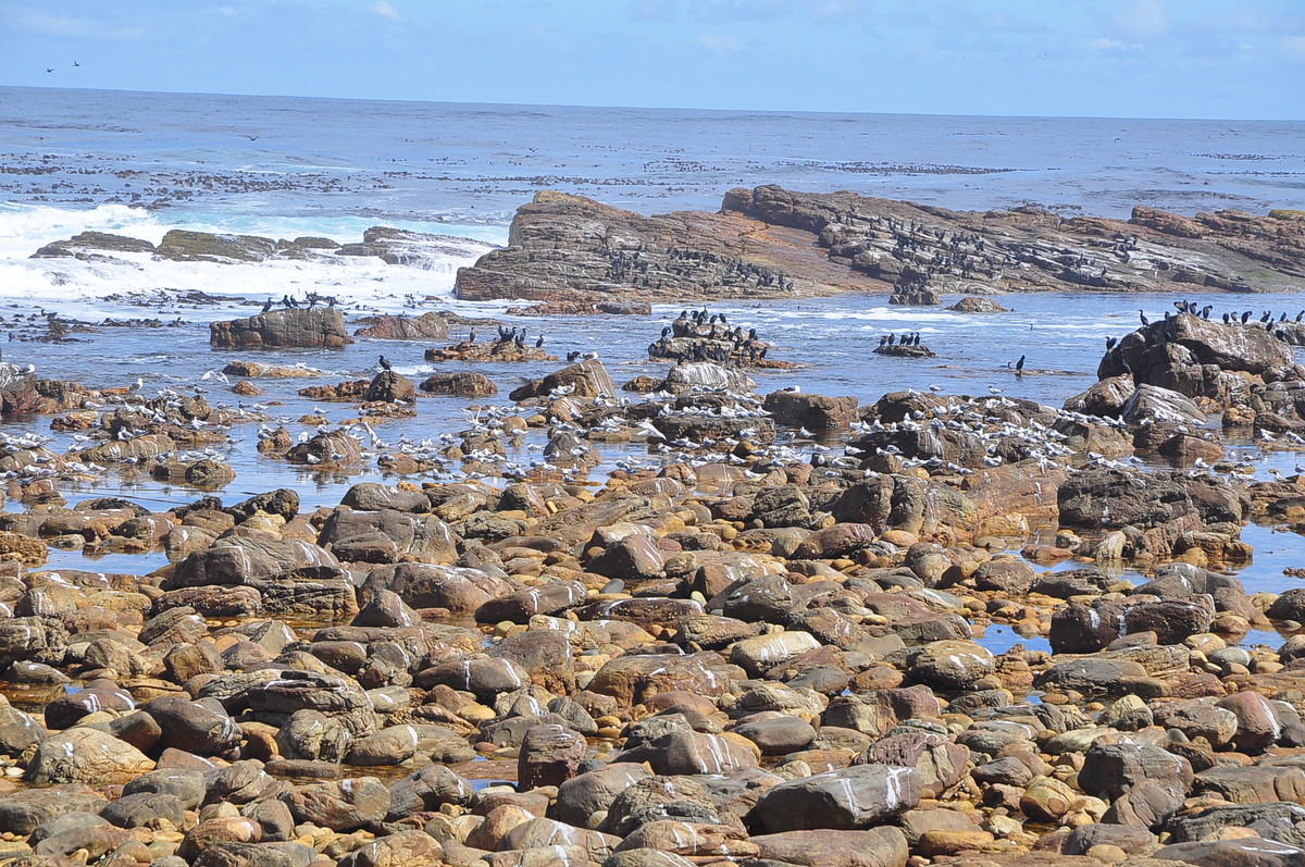 南非之旅（一）好望角