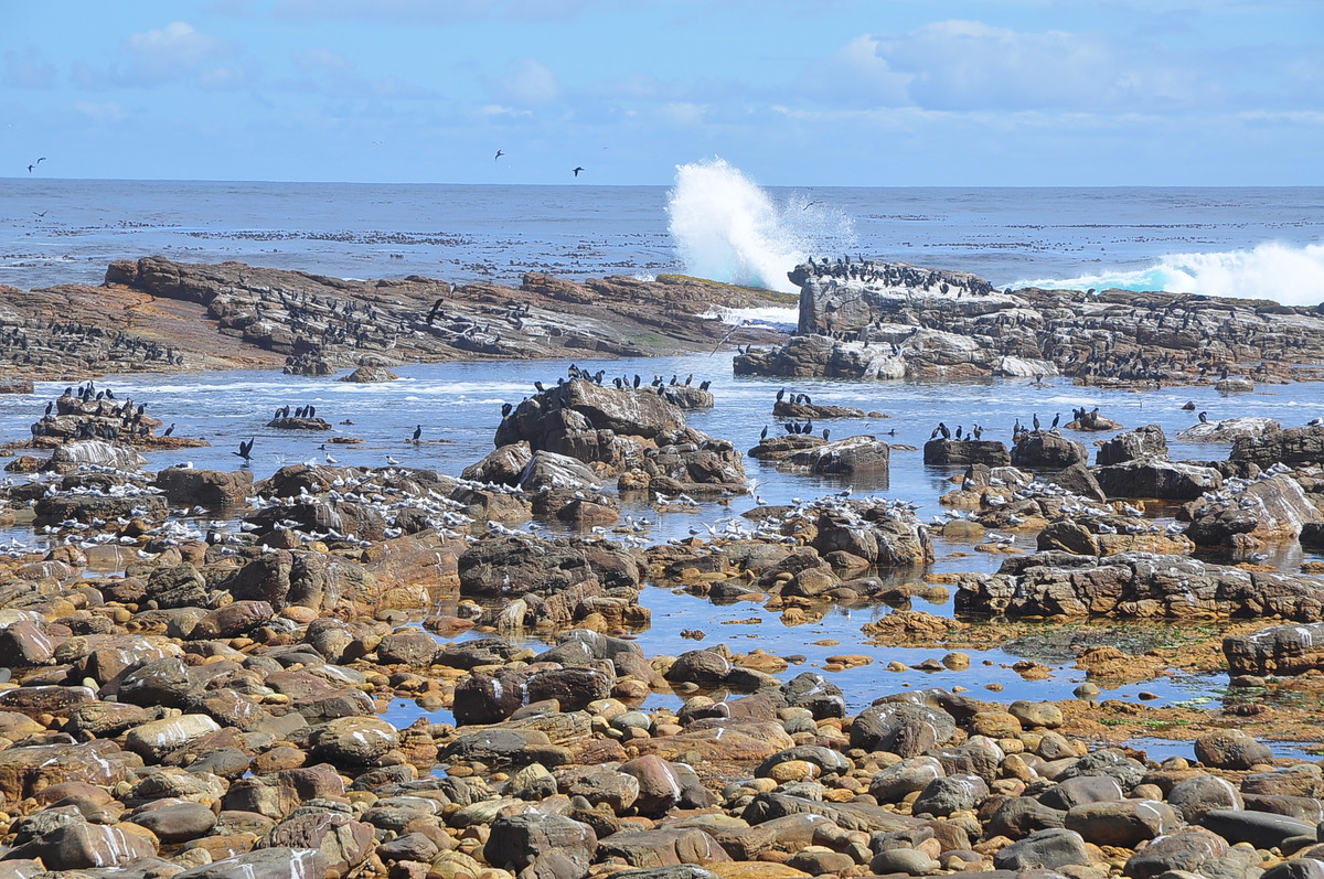 南非之旅（一）好望角