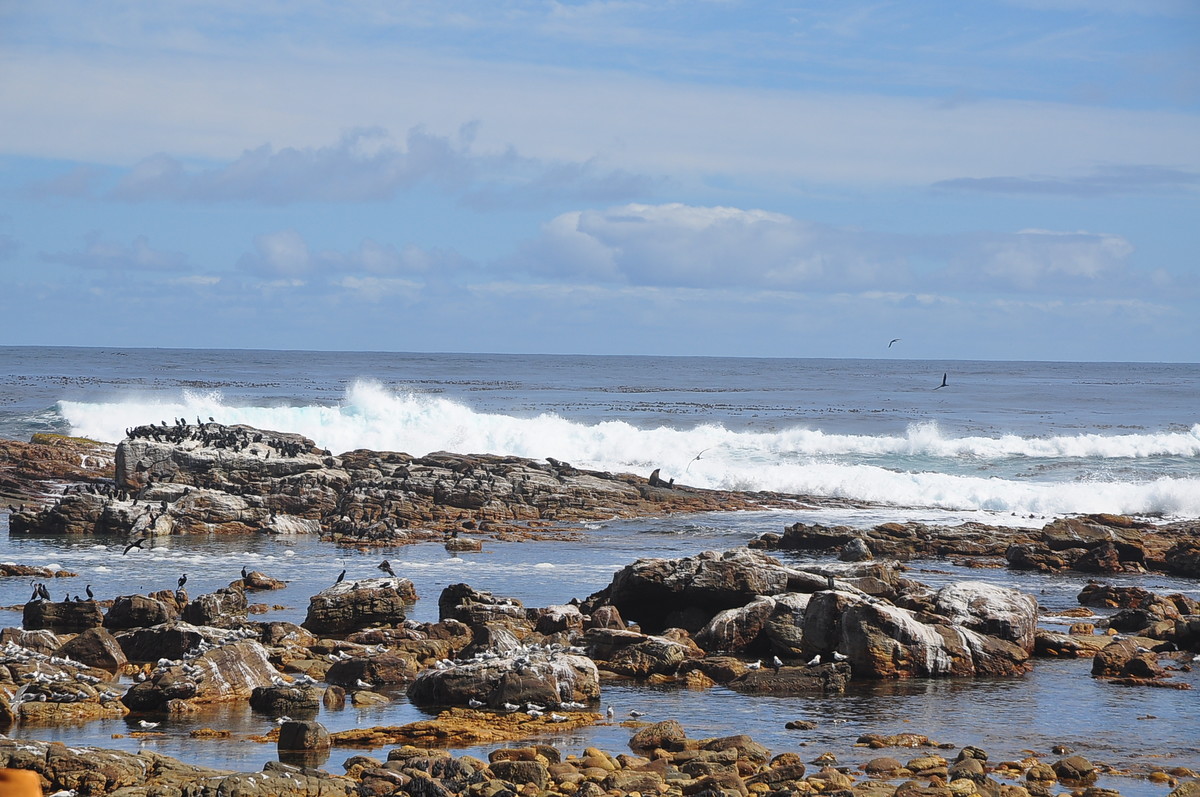 南非之旅（一）好望角