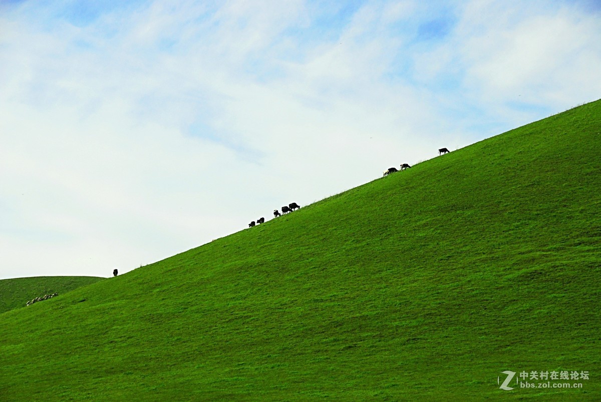 一望无垠的美丽大草原