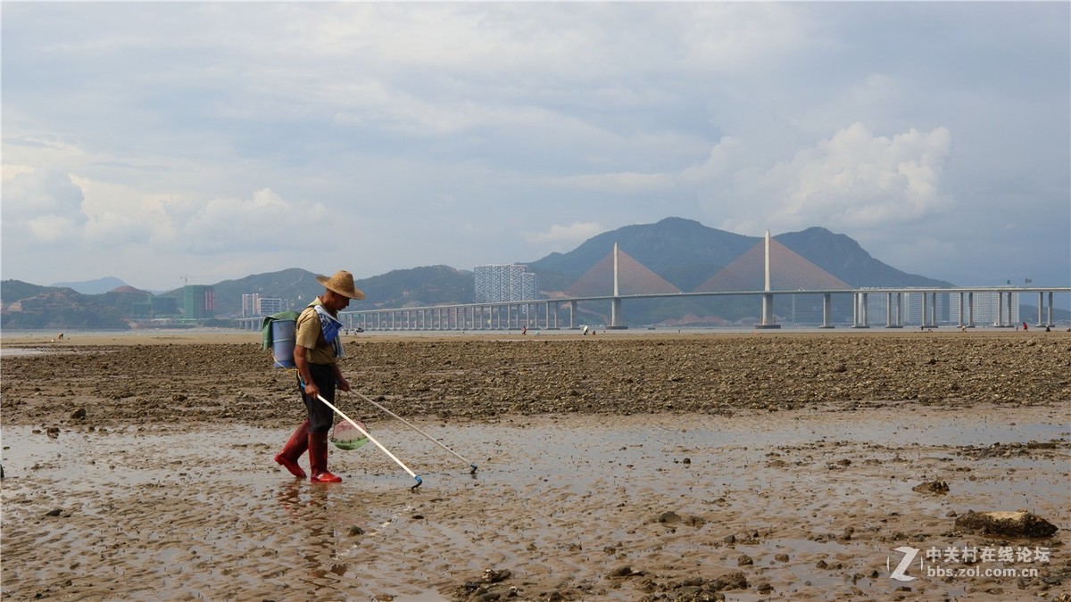 惠州平海