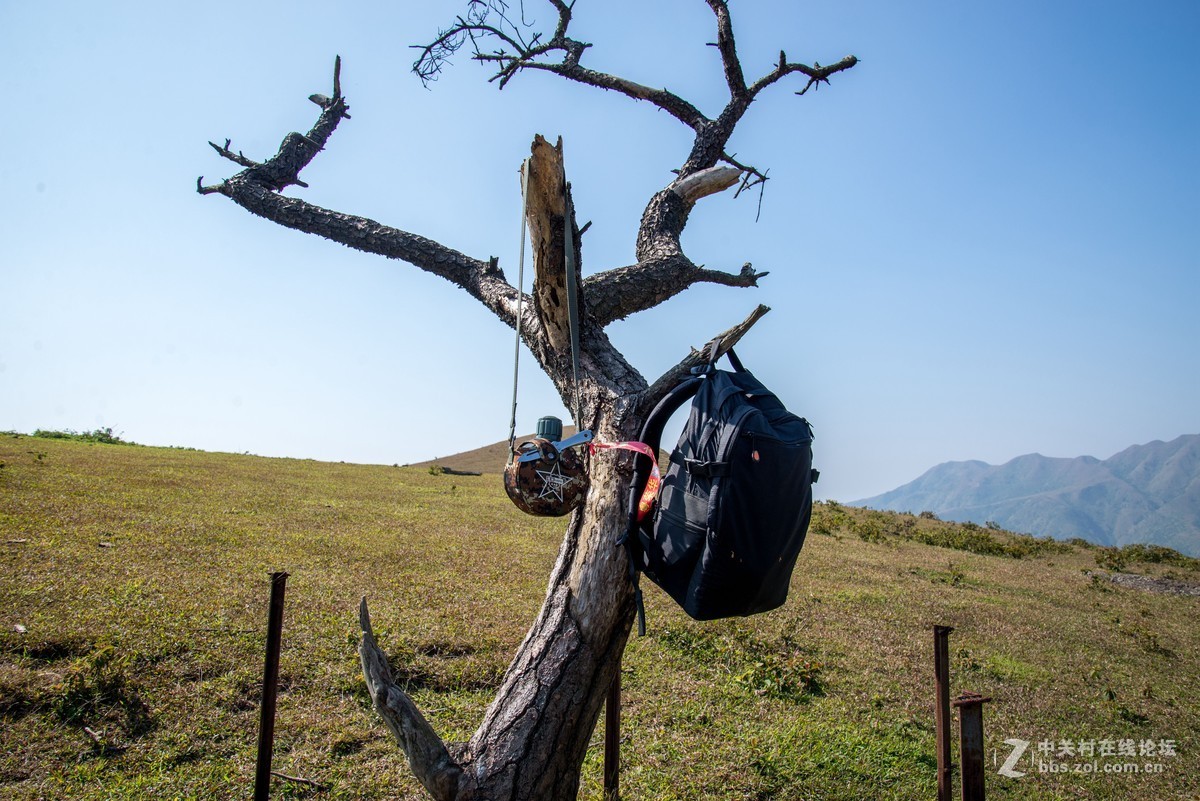 假装有草原，大地母亲草原一日游。