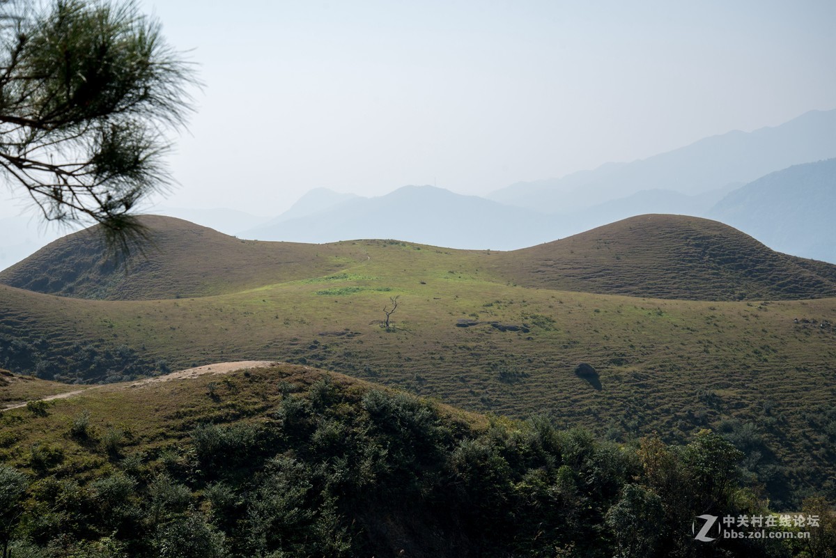 假装有草原，大地母亲草原一日游。