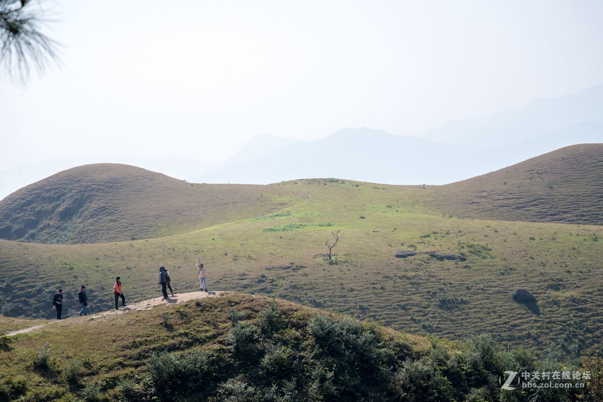 假装有草原，大地母亲草原一日游。