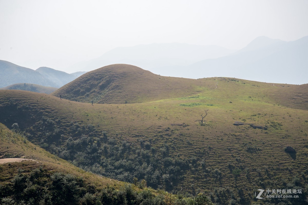 假装有草原，大地母亲草原一日游。