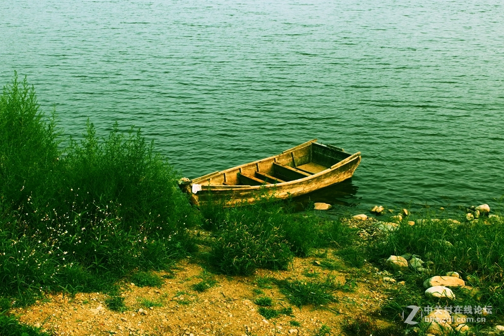 大片奉上，敬请欣赏排砖。XZ2成像牛掰！滤镜惊艳