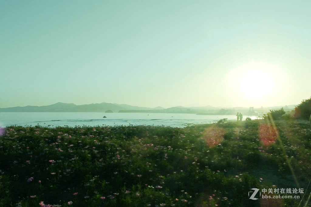 大片奉上，敬请欣赏排砖。XZ2成像牛掰！滤镜惊艳