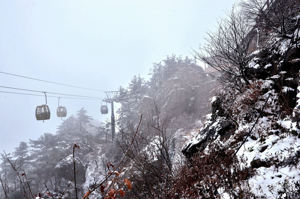 老君山   雾霾笼罩的雪淞景象