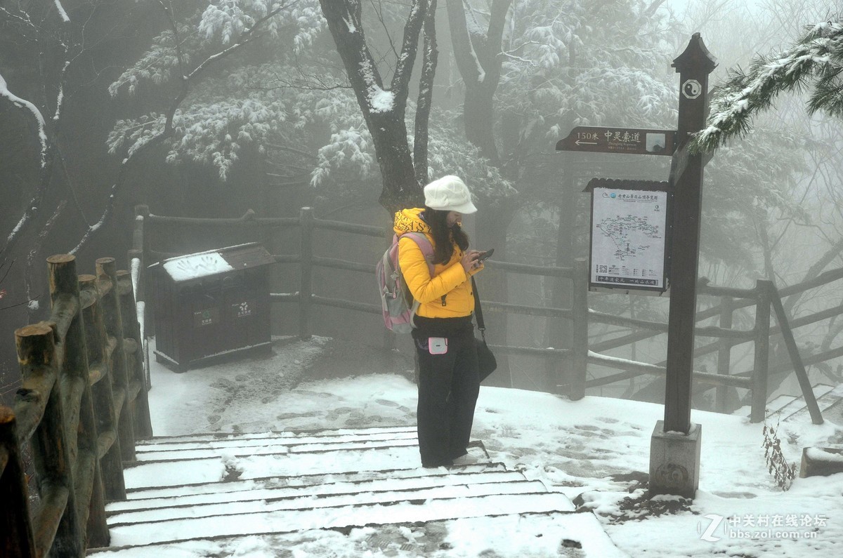 老君山   雾霾笼罩的雪淞景象