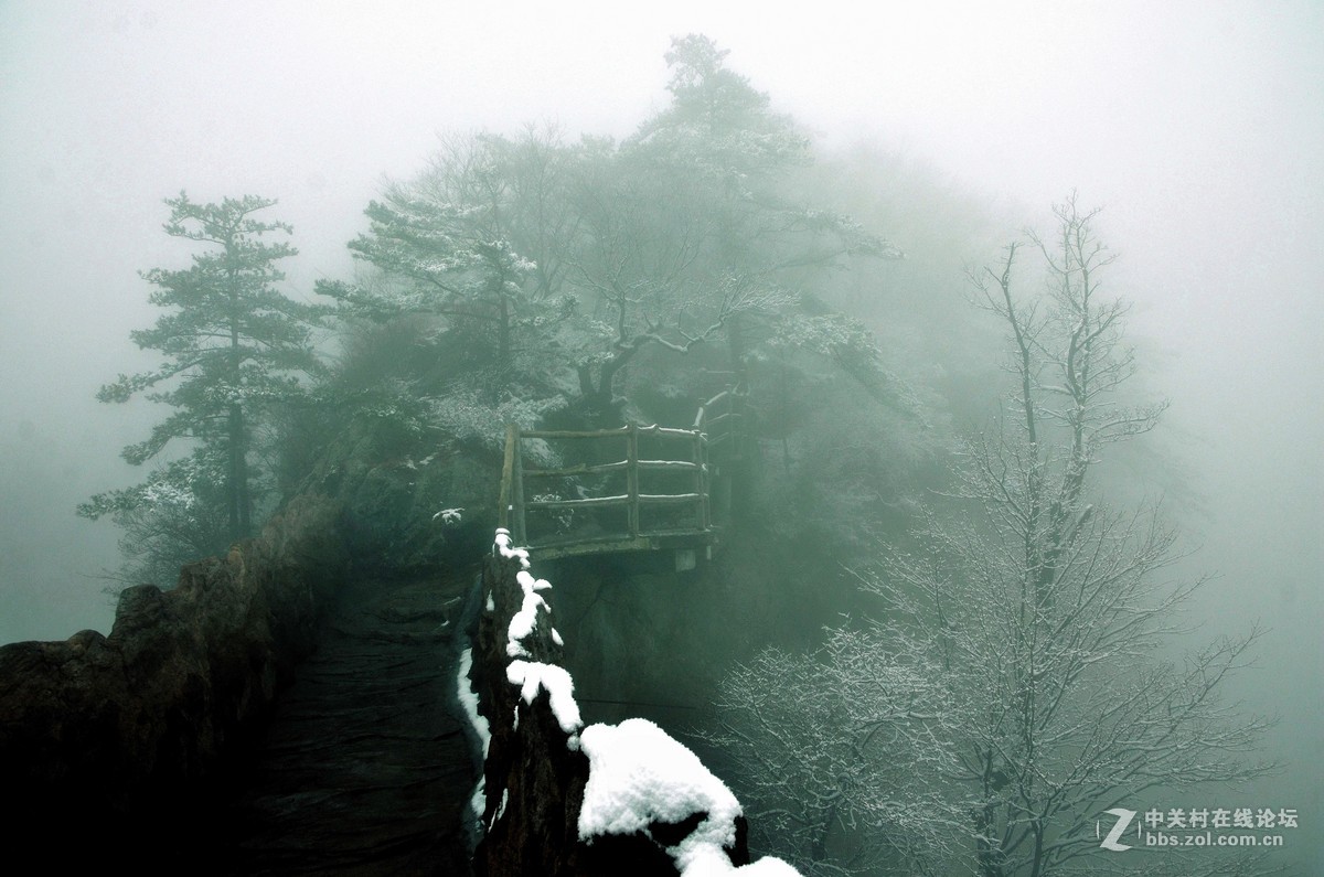 老君山   雾霾笼罩的雪淞景象