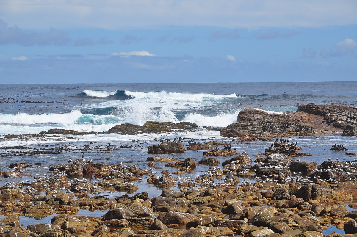 南非之旅（一）好望角