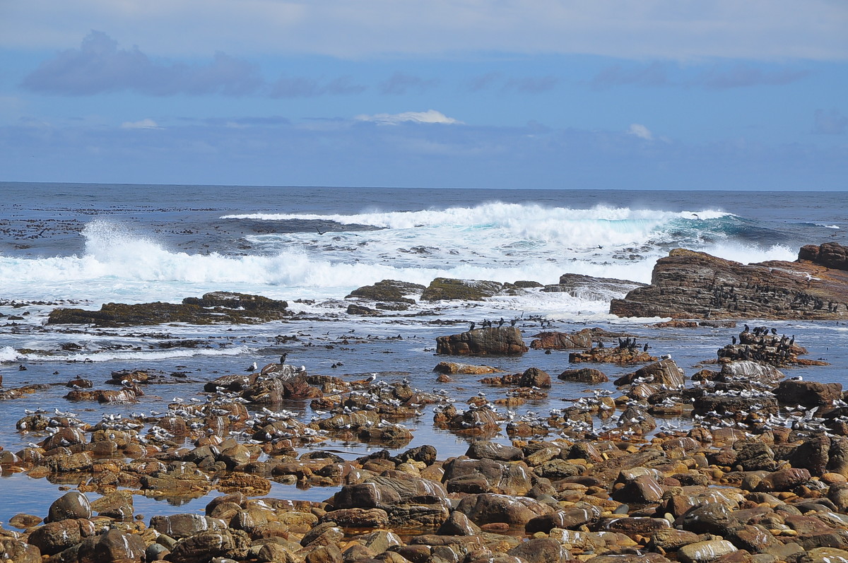 南非之旅（一）好望角