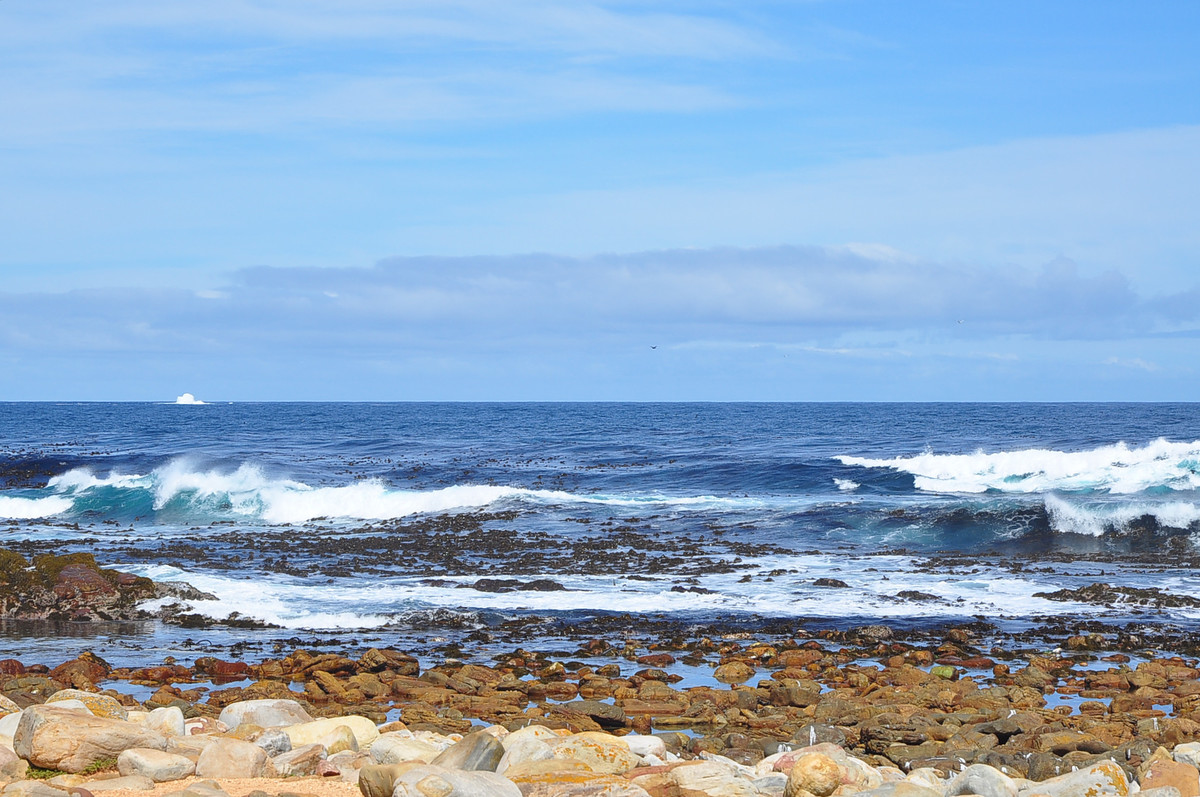 南非之旅（一）好望角