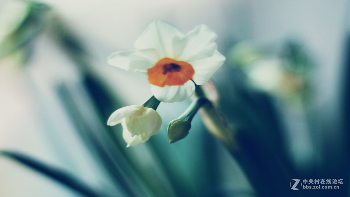 用转接环装50 1.8 STM，全部后期处理过。但我也才刚开始学后期，所以见笑啦！