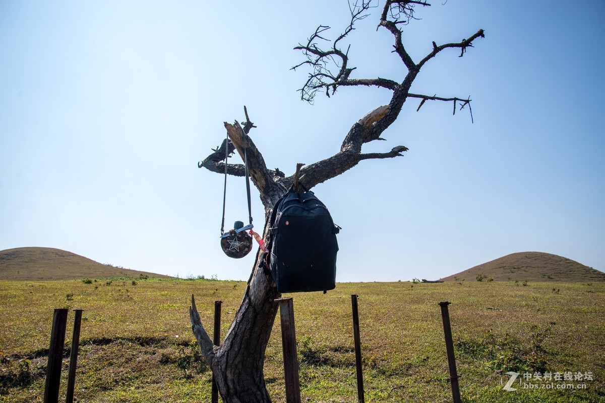假装有草原，大地母亲草原一日游。