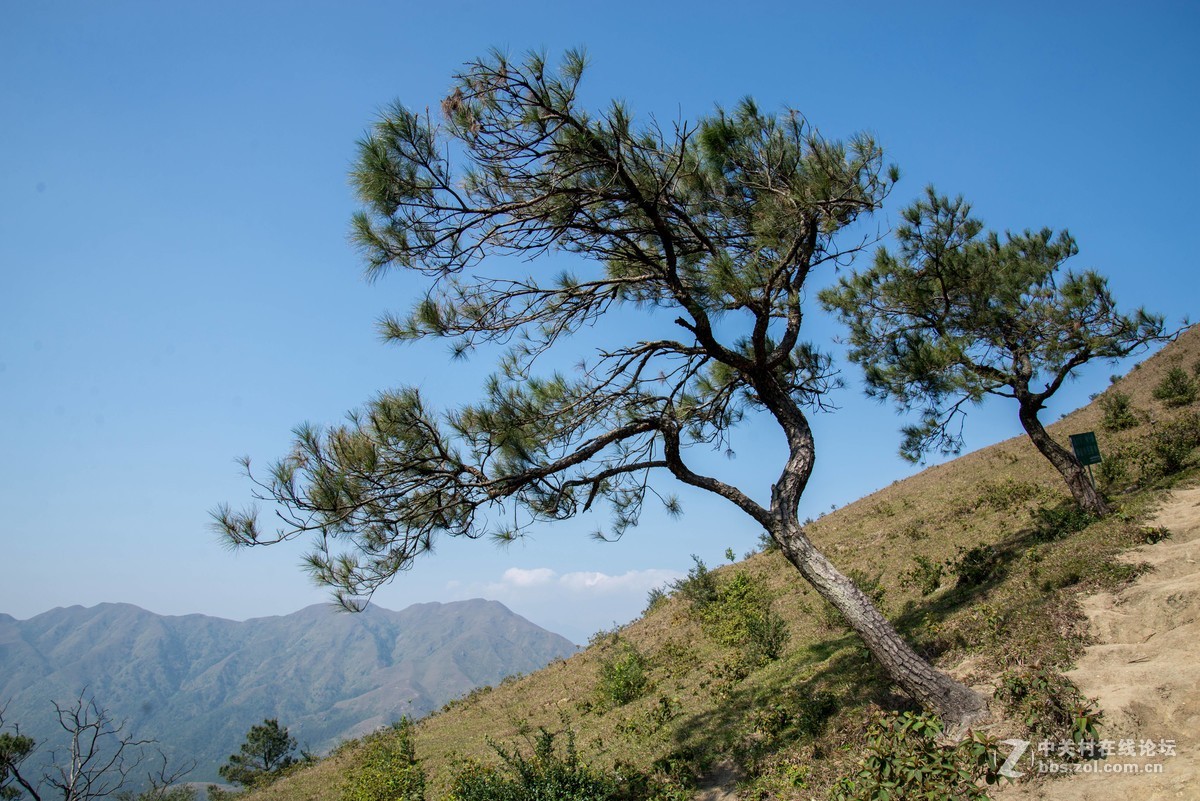 假装有草原，大地母亲草原一日游。
