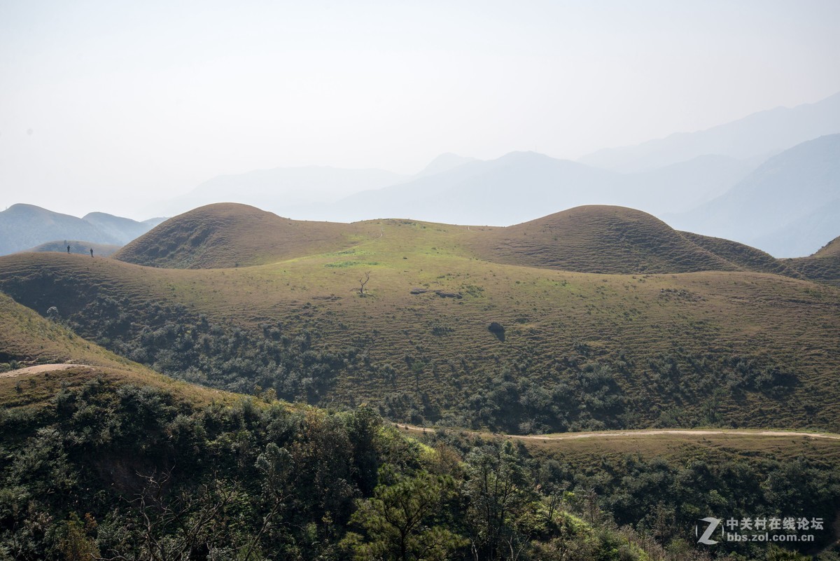 假装有草原，大地母亲草原一日游。