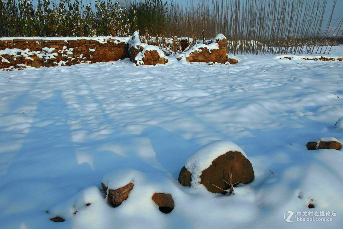 『瑞雪兆丰年』123...12