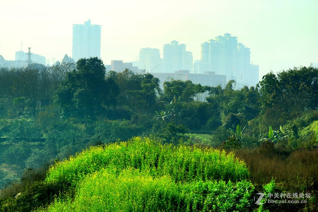 《春天来了》---腊八节这天