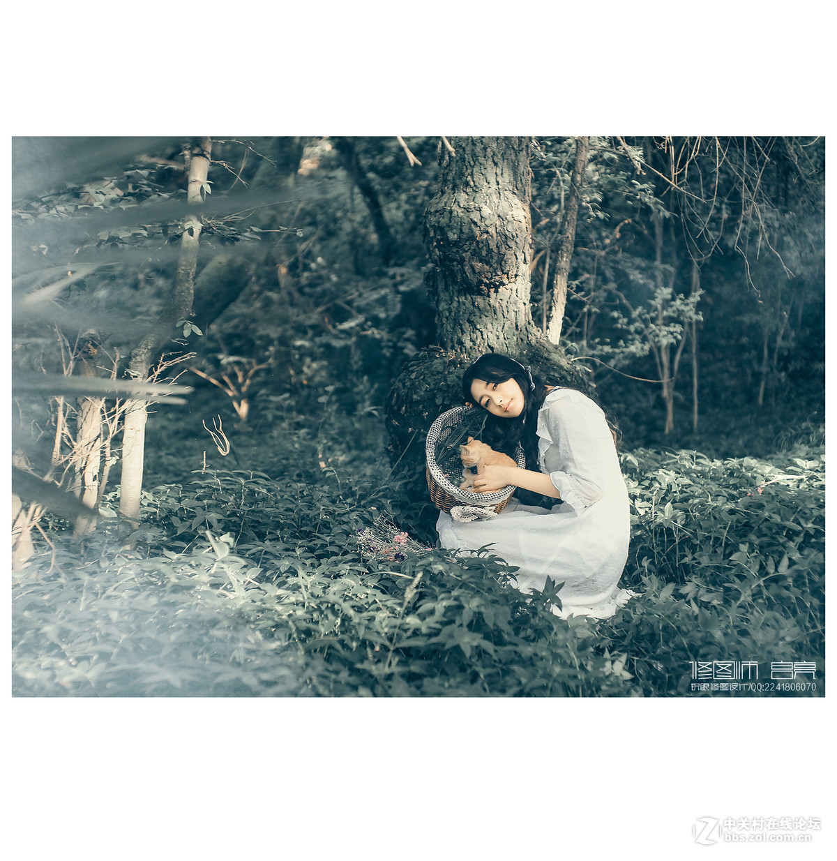 作品欣赏【青竹老酒   温风凉茶】