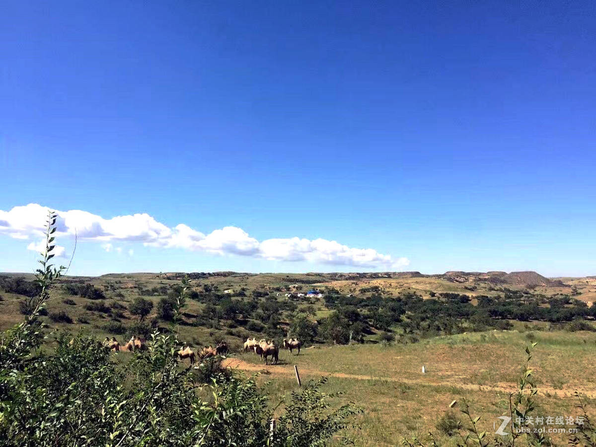 加格达奇到大庆一路风光