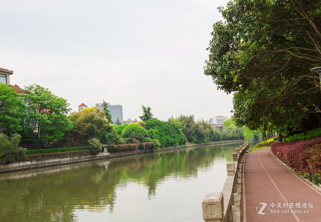 嘉定护城河畔