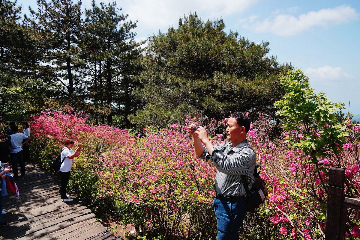 湖北麻城印象---麻城龟锋山！续-（一）。。。。。